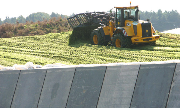 Optimising anaerobic digestion to produce sustainable energy from human, agricultural and food waste streams