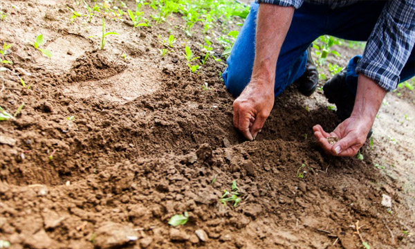 Resource recovery from wastes: production of safe and sustainable fertiliser from human, agricultural and food waste streams