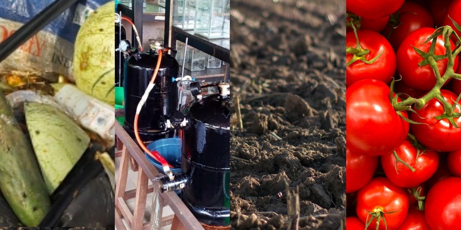 Composite image of waste, digesters, compost and tomatoes